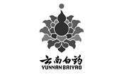 云南白药